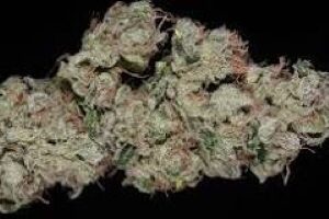 Buy Sour Diesel Strain Online With Bitcoin
