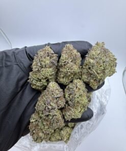 Berry Kush 🔥