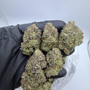 Berry Kush 🔥