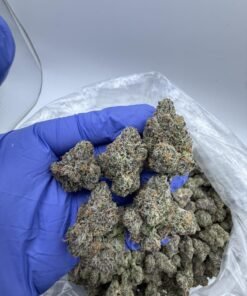 Blue Candy Runts 🍬🍬🍬