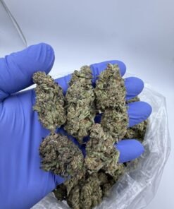 Blueberry Gas ⛽️🫐