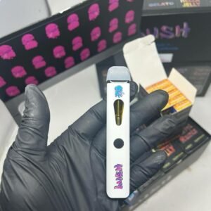 Lush Premium 2G Disposable