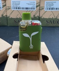 Raw Garden Sauce All in One