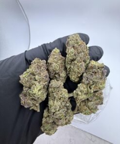 Sherbet Pie