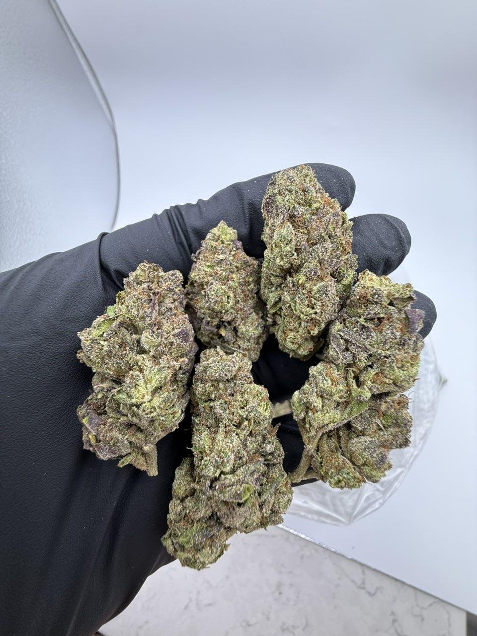 Sherbet-Pie.jpg