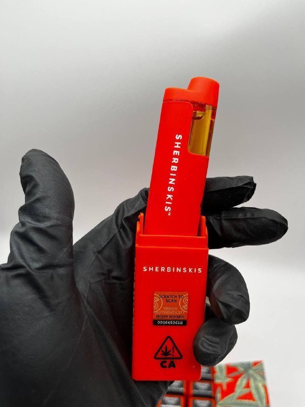 Sherbinski-Disposable-.jpg