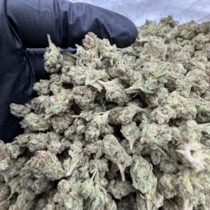 Sour Gushers SM