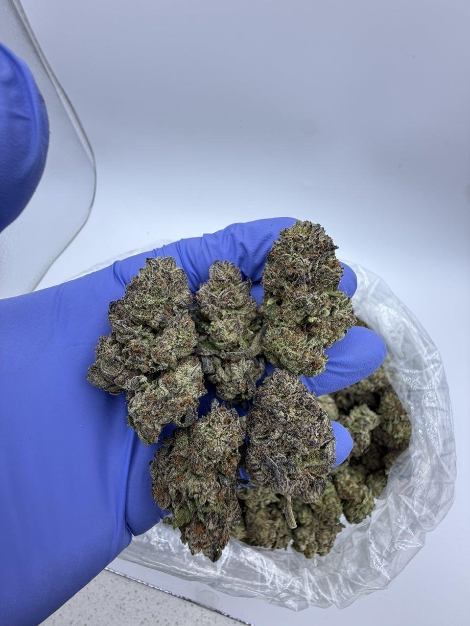 Sunset-Sherbert-🔥.jpg