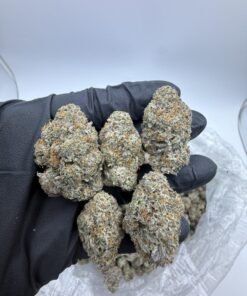 Truffle Milk