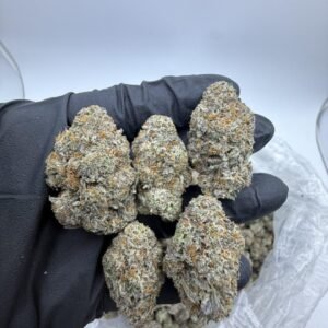 Truffle Milk