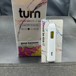 Turn 2G Disposable
